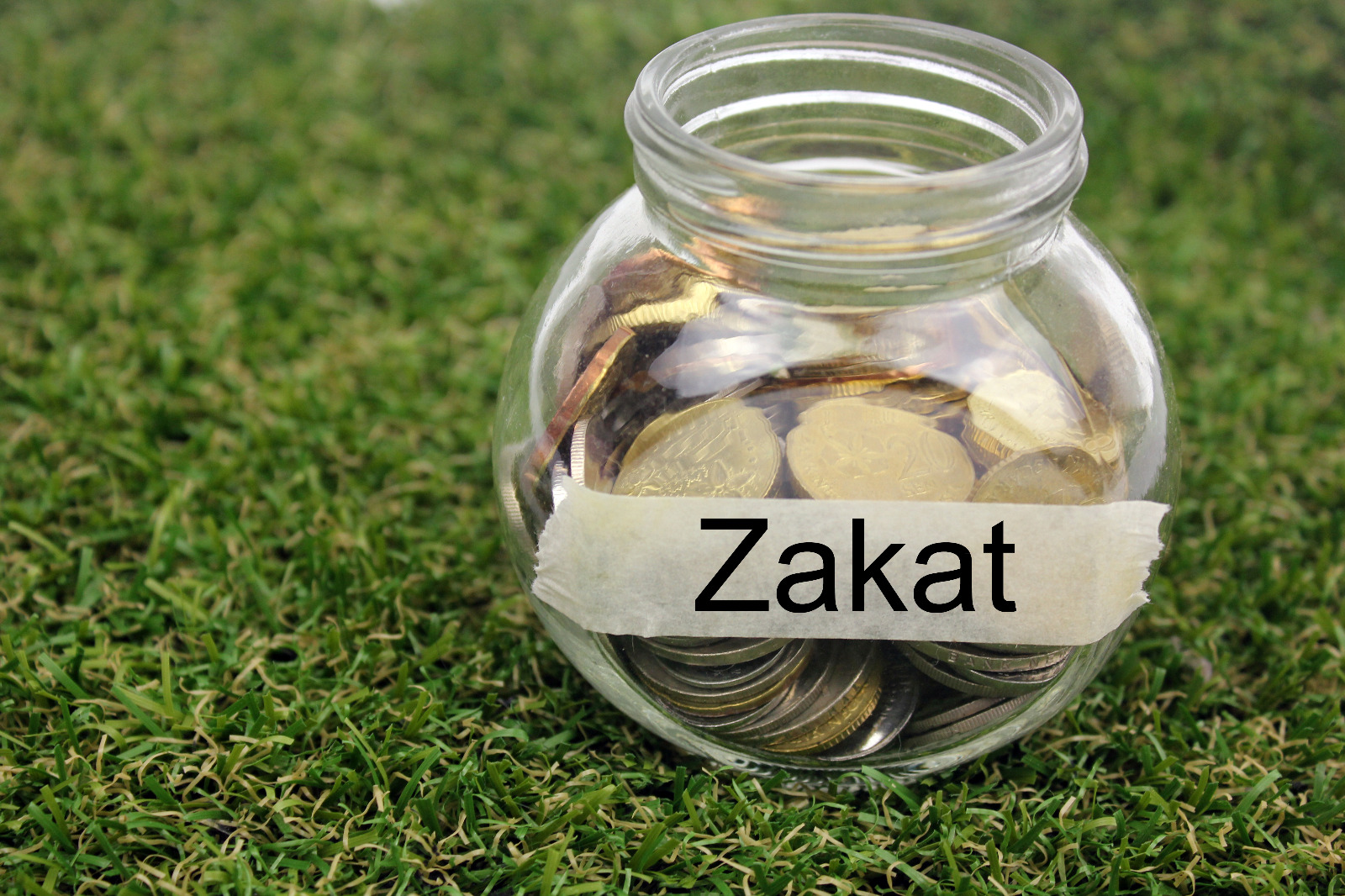 Pengertian Zakat dalam Bahasa, Istilah, dan Mazhab